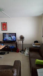 Blk 204 Petir Road (Bukit Panjang), HDB 4 Rooms #197985452